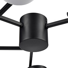 Потолочная люстра Lumion Comfi Dabra 8186/6C 4