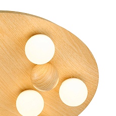 Потолочный светодиодный светильник F-Promo Swarm 4694-8C 1