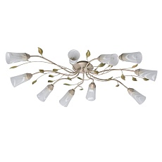 Потолочная люстра MW-Light Восторг 242015510 1