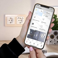 Датчик газа Wi-Fi Elektrostandard (Умный дом) 76250/00 a060341 3