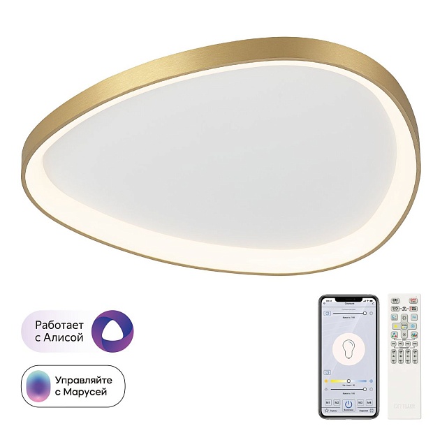 Потолочный светодиодный светильник Citilux Genka Smart CL756A162 Фото № 1