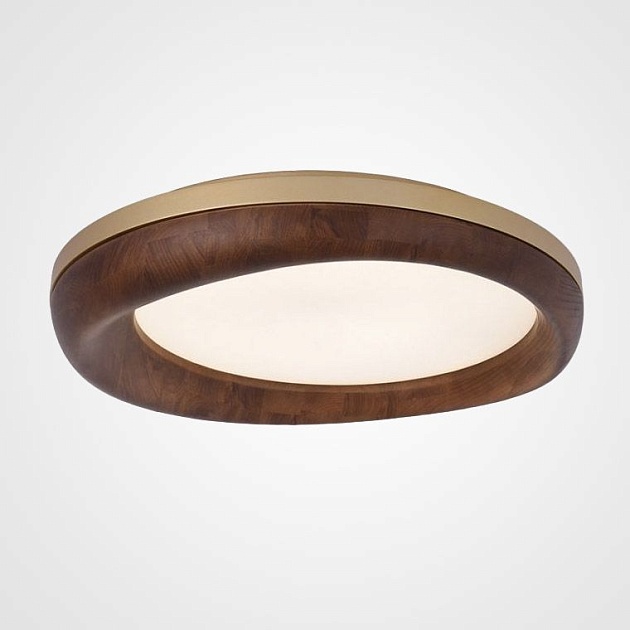 Потолочный светодиодный светильник Imperium Loft Runis 219475-26 Фото № 1