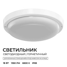 Светильник светодиодный герметичный OGM О28-10 3