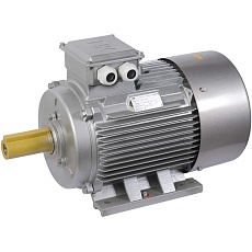 Электродвигатель асинхронный трехфазный АИР 200M6 660В 22кВт 1000об/мин 1081 DRIVE IEK DRV200-M6-022-0-1010