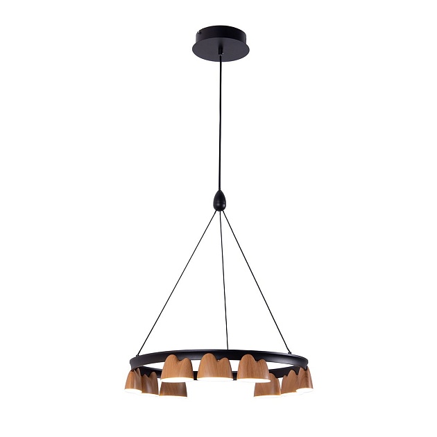 Подвесная светодиодная люстра Favourite Interline 4266-9P Фото № 4