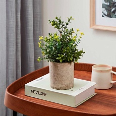 Искусственное растение Eglo CHITOSE 428025 1