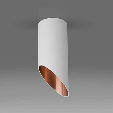 Потолочный светильник Elektrostandard DLN114 GU10 белый/золото a050119 3