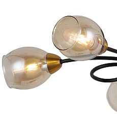 Потолочная люстра Illumico IL8263-6COU-79 BK GD 1