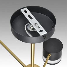 Потолочная люстра Lumion Comfi Lanika 8240/6C 2