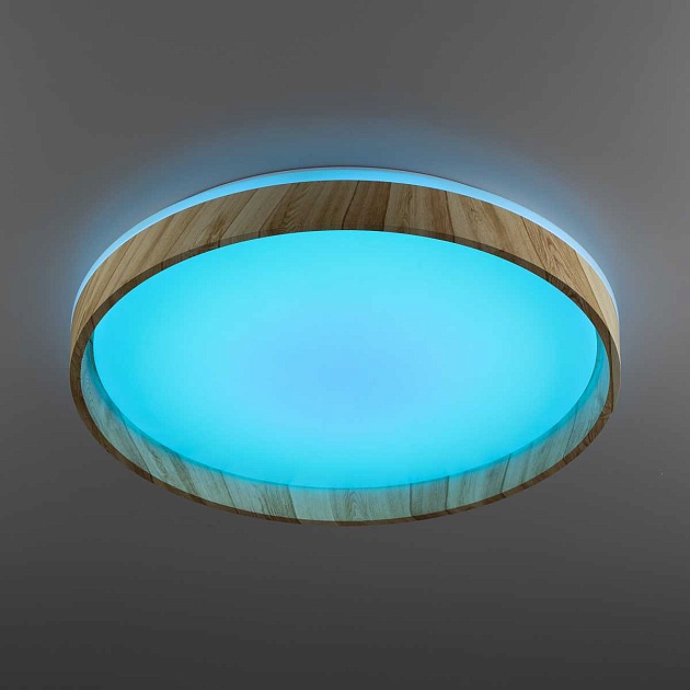 Потолочный светодиодный светильник Citilux Enzo CL753452G Фото № 10