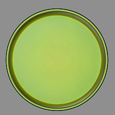 Потолочный светодиодный светильник Citilux Boss CL751251G 2