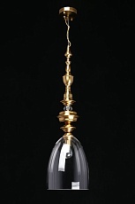 Подвесной светильник Aployt Rena APL.602.16.01 5