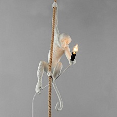 Подвесной светильник Loft-Concept Seletti Monkey 40.1223-0 11361
