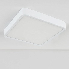 Потолочный светодиодный светильник Elektrostandard DLS034 18W 4200K a043017 2