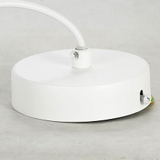 Подвесной светильник Lussole Loft LSP-8517 2