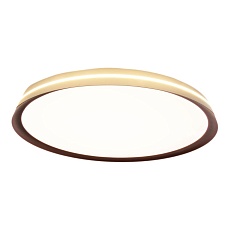 Потолочный светодиодный светильник Mizi'en Titan MZ31502-640 2