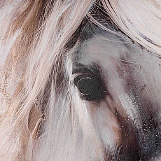 Картина Eglo Longoza 423195 1