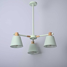 Подвесная люстра Imperium Loft Natura 101824-26 5