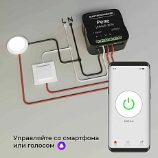Реле Wi-Fi Elektrostandard (Умный дом) 76006/00 a059324 5