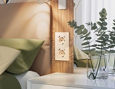 Комплект механизма электрической розетки AMBRELLA VOLT ALFA Бежевый глянец 2USB A+C 20W (быстрая зарядка) с/з QUANT (AP3100, VM160) MA310010 1