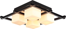 Потолочная люстра Arte Lamp 95 A8252PL-4CK 3