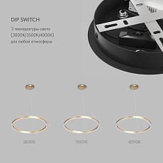 Подвесной светодиодный светильник Denkirs Raydia DK6273-SG 2