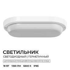 Светильник светодиодный герметичный OGM О28-12 2