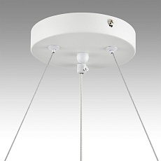 Подвесная люстра Lumion Comfi Luazana 8254/6 3