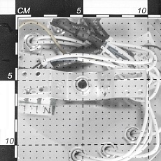 Потолочная люстра Citilux Хеликс CL109161 2