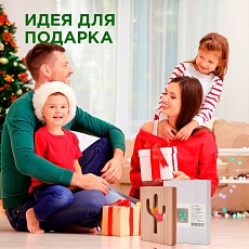 Светильник-ночник Apeyron Кактус 12-186 2