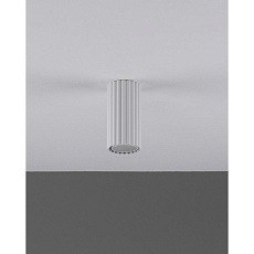 Настенно-потолочный светильник Moderli Cora V11888-1C 4