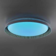 Потолочный светодиодный светильник Citilux Mega CL752452G 5