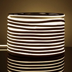 Гибкий неон Elektrostandard 9,6W/m 120LED/m 2835SMD дневной белый 50M a052994 2