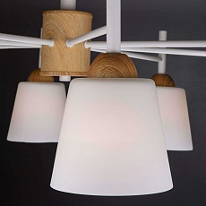 Потолочная люстра Eurosvet 70085/8 белый 2