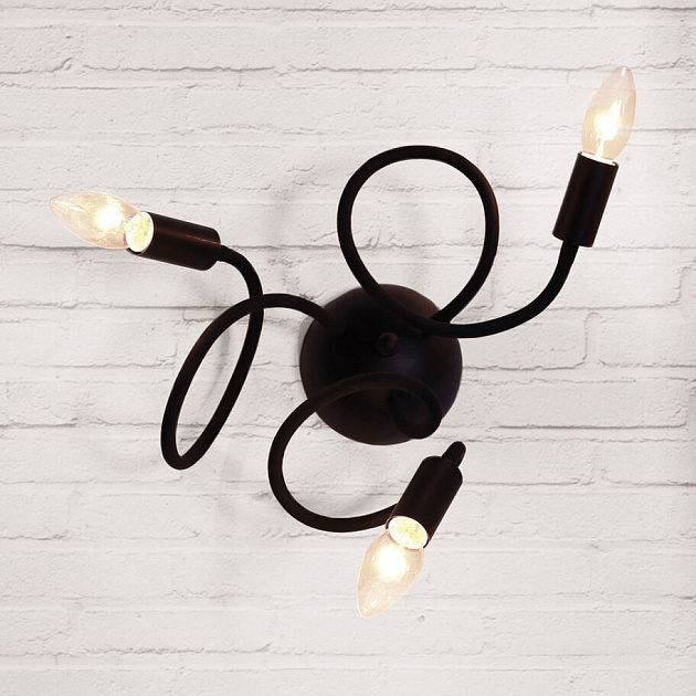 Бра Loft IT Eye Loft1714W-BL Фото № 5