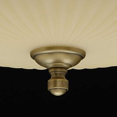 Потолочный светильник MW-Light Афродита 317011504 2