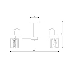 Потолочная люстра Eurosvet Tenia 70090/5 черный 1