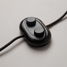 Торшер Maytoni Estudo Z010FL-L8B3K 1