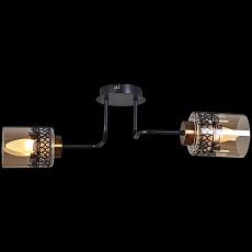 Потолочный светильник Reluce 61713-0.3-02 4