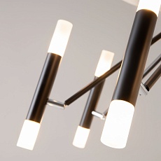 Потолочная люстра Maytoni Vigo MOD620CL-16B 3