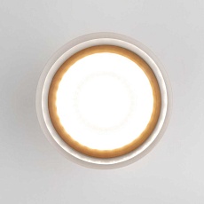 Уличный светодиодный светильник Elektrostandard Light Led 35140/H серый a057161 2