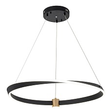 Подвесной светодиодный светильник Indigo Parade 14014/B/1P Black V000071L 3