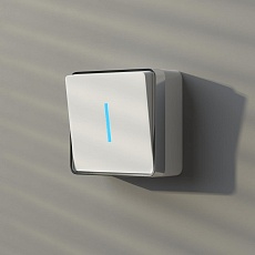 Выключатель одноклавишный с подсветкой Werkel Gallant белый W5010101 4690389163791 1