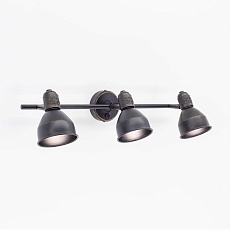 Спот Citilux Опус CL502532 2