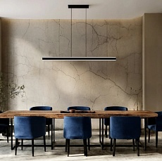 Подвесной светильник DENKIRS RAYLINE DK6272-SG 1