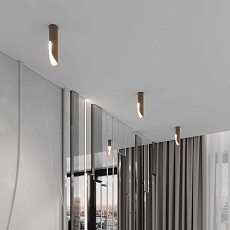 Потолочный светодиодный светильник Elektrostandard Apex 25113/LED a068290 2