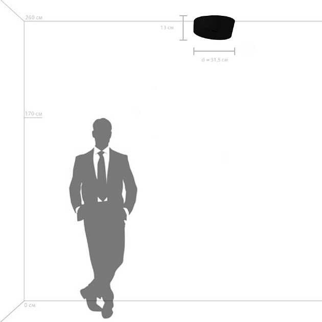 Потолочный светодиодный светильник Lightstar Celesta 809356 Фото № 4