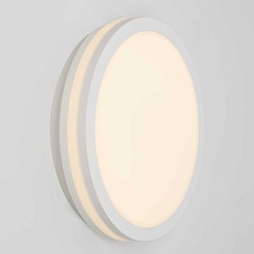 Светильник накладной Citilux LUNS CL711010V 1