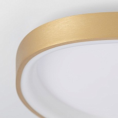 Потолочный светодиодный светильник Citilux Genka Smart CL756A142 3