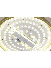 Потолочный светодиодный светильник Zortes Adel ZRS.1200.01 2